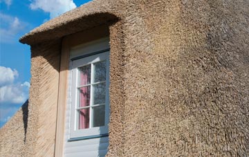 Earthcott Green thatch roof disadvantages